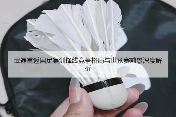 武磊重返国足集训锋线竞争格局与世预赛前景深度解析